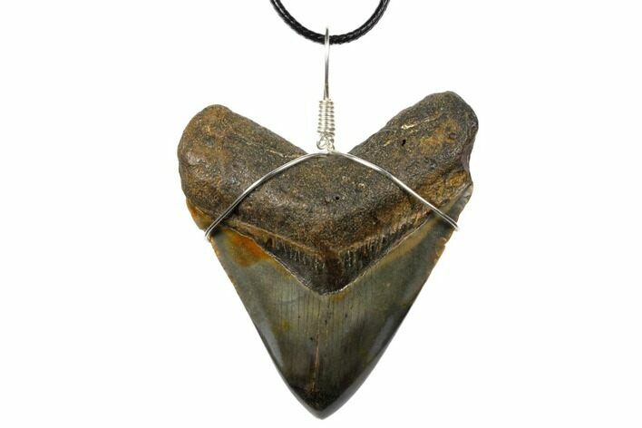Fossil Megalodon Tooth Necklace #130977